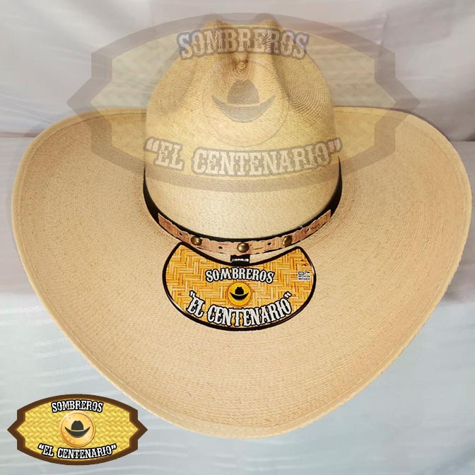 Sahuallo Palma Real Americana