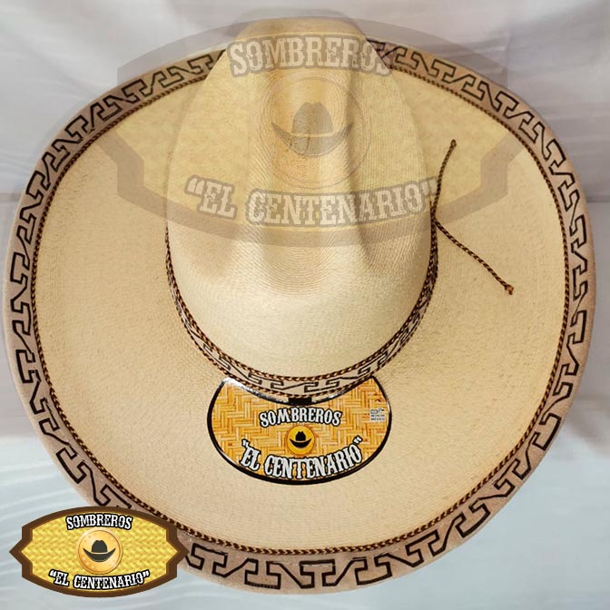  Sahuallo Palma Real Americana