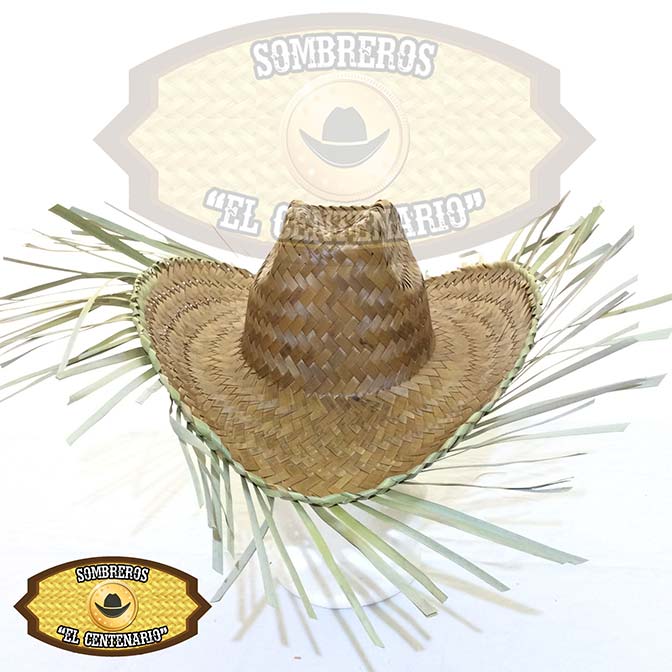 Tipo: Anicero  Rodeo Costeño