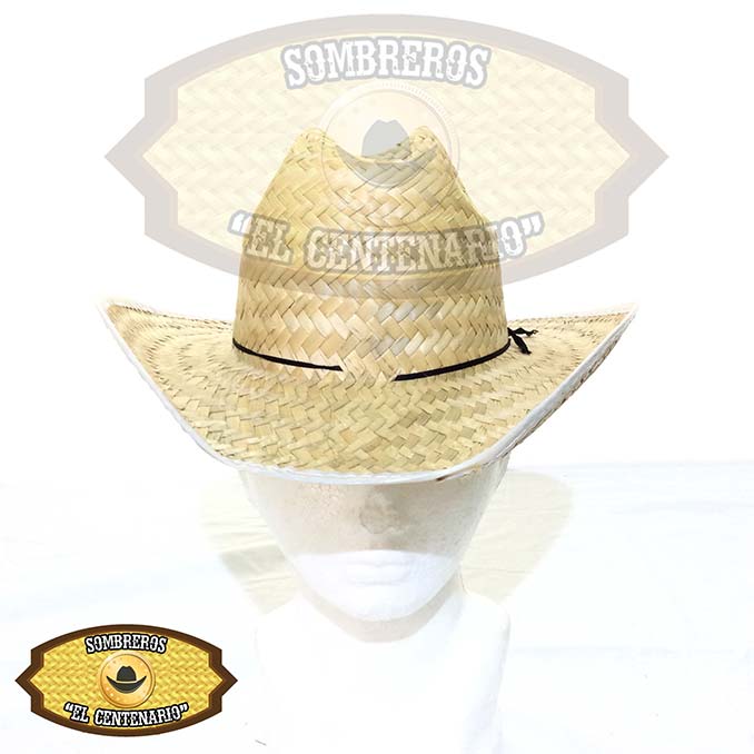 Masallo Liso N. Chihuahua de Niño