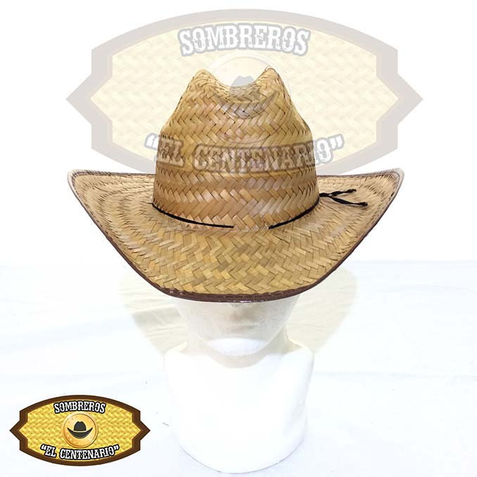 Masallo Liso Q. Chihuahua de Niño