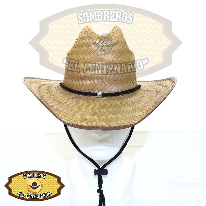 Masallo Liso Q. Chihuahua de Niño